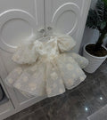 Ivory Blossom Dress