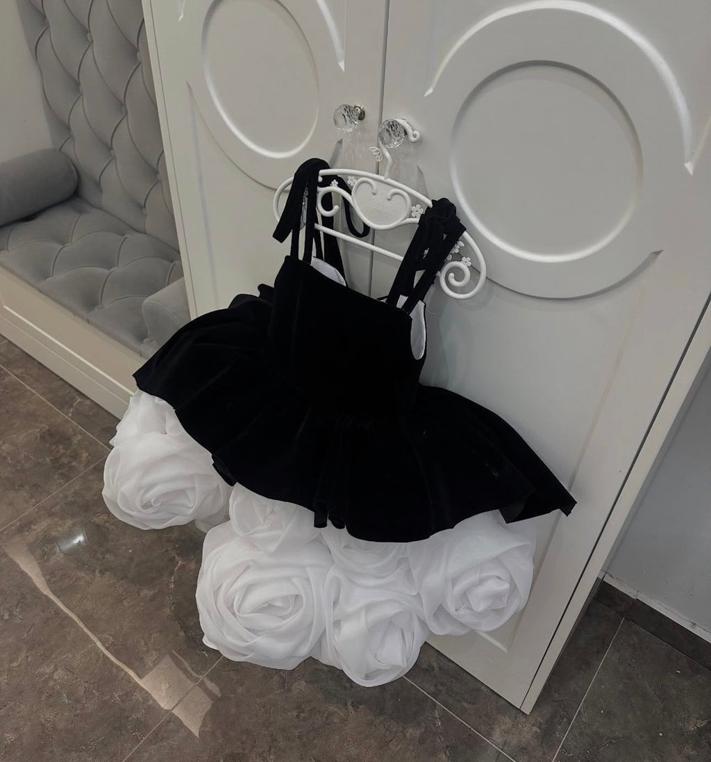 Black Swan Dress