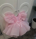 Pink Blossom Dress